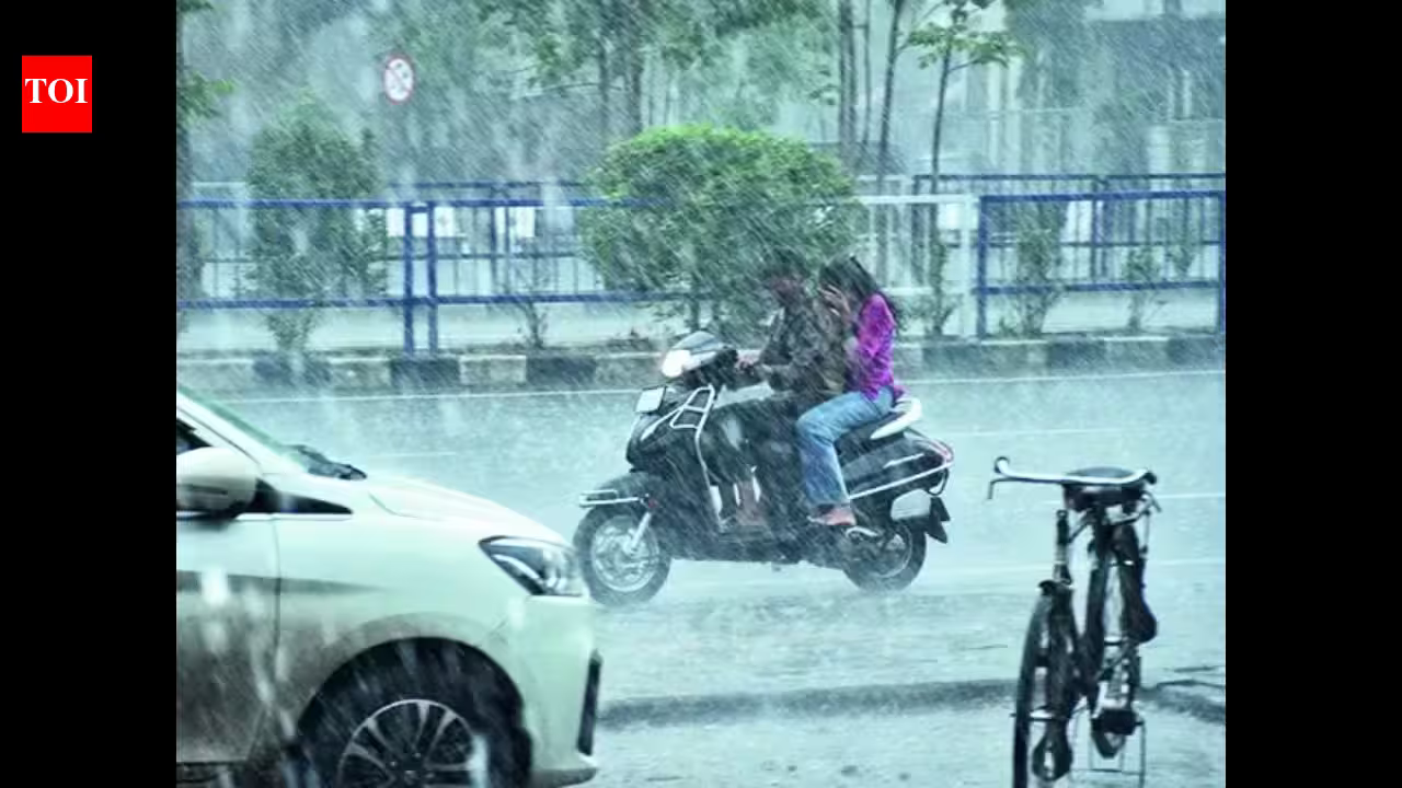 Gujarat schools hit by heavy rain can hold classes on holidays to complete syllabus, say officials