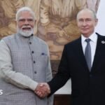 Ukraine war: What to make of Modi's plea to Putin to end conflict