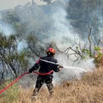 Algeria’s president seeks death penalty for those who start forest fires | Environment News