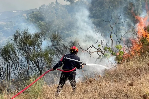 Algeria’s president seeks death penalty for those who start forest fires | Environment News