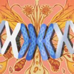 Genome Duplication Is a Radical Evolutionary Gamble