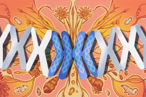 Genome Duplication Is a Radical Evolutionary Gamble