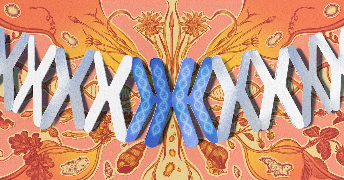 Genome Duplication Is a Radical Evolutionary Gamble