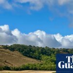 Country diary: The rain has come, and suddenly the land looks (and smells) different | Drought