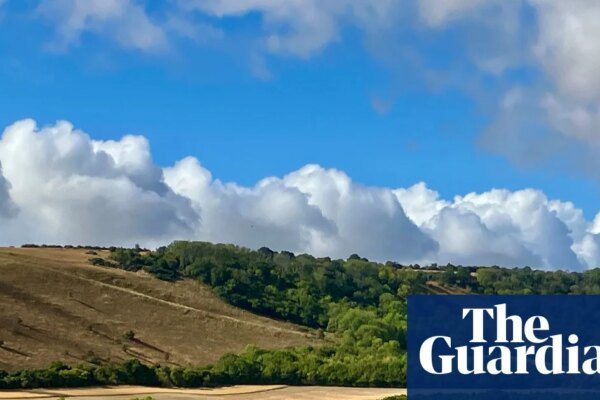 Country diary: The rain has come, and suddenly the land looks (and smells) different | Drought