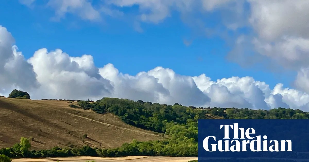 Country diary: The rain has come, and suddenly the land looks (and smells) different | Drought