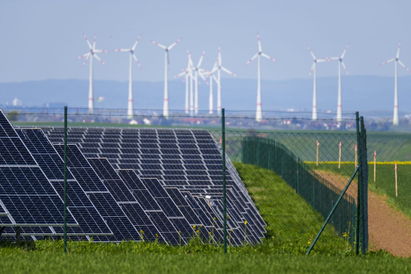 Renewables key to cutting fossil fuel use and stabilising energy prices, European Environment Agency says 
