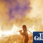 ‘Supersizing before our eyes’: UN warns of record El Niño approaching | El Niño southern oscillation