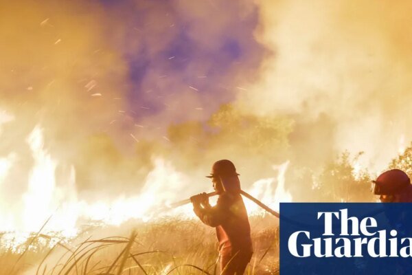 ‘Supersizing before our eyes’: UN warns of record El Niño approaching | El Niño southern oscillation