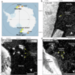 Year-round movement of emperor penguin colonies observed from space