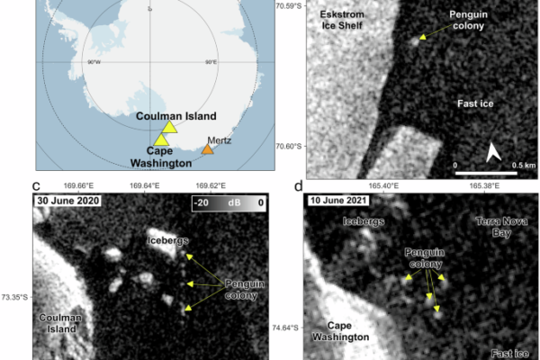 Year-round movement of emperor penguin colonies observed from space