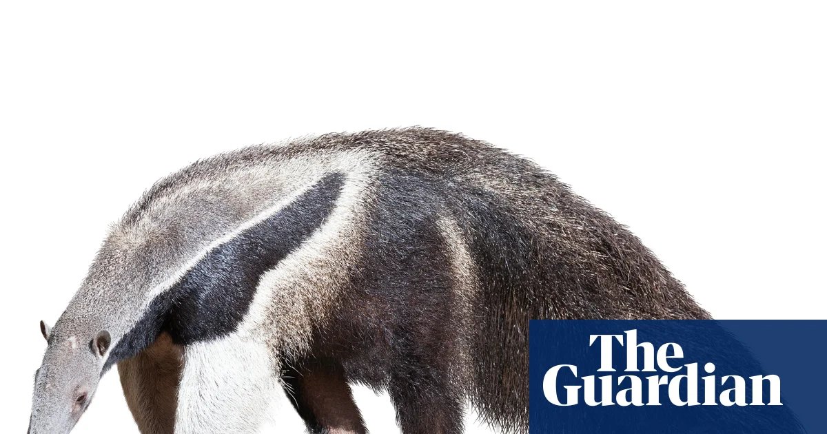 Thursday news quiz: Stolen jewels, breakdancing fools and a car that’s breaking the rules | Life and style