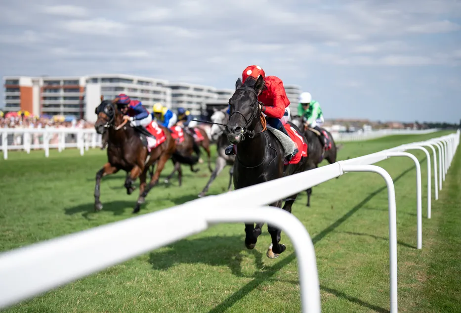 Coppull team 'very keen' on Haydock bid - but hopes of breaking Group 1 duck in Sprint Cup hang in the balance