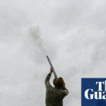 Mass breeding of game birds without welfare checks may be curtailed in England | Hunting