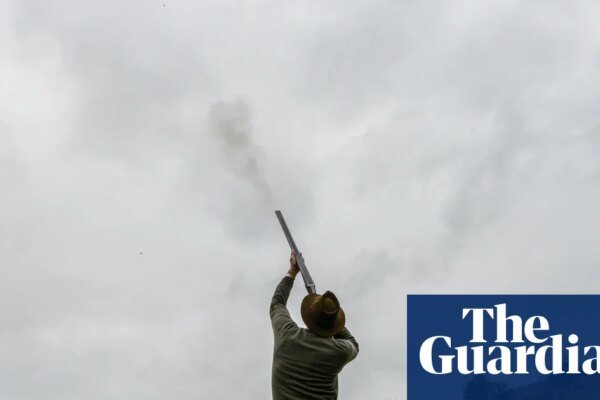 Mass breeding of game birds without welfare checks may be curtailed in England | Hunting