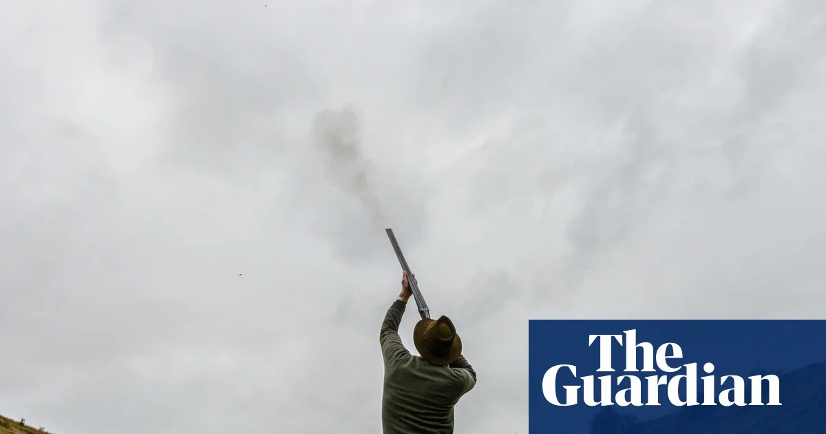 Mass breeding of game birds without welfare checks may be curtailed in England | Hunting