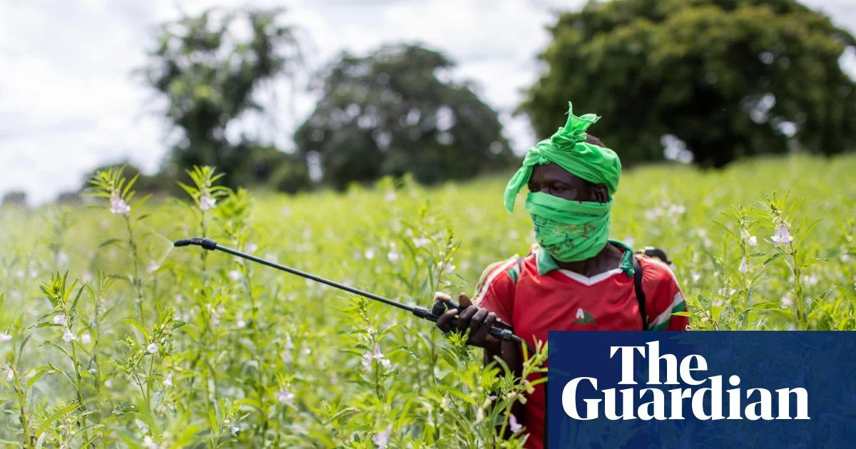 Almost half of world’s farmers poisoned by pesticides every year, experts find | Pesticides