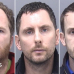 Dorset men jailed over £70m tree-planting investment scam