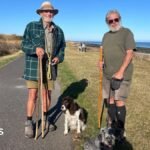 Public consultation begins on Kent coast dog control plans
