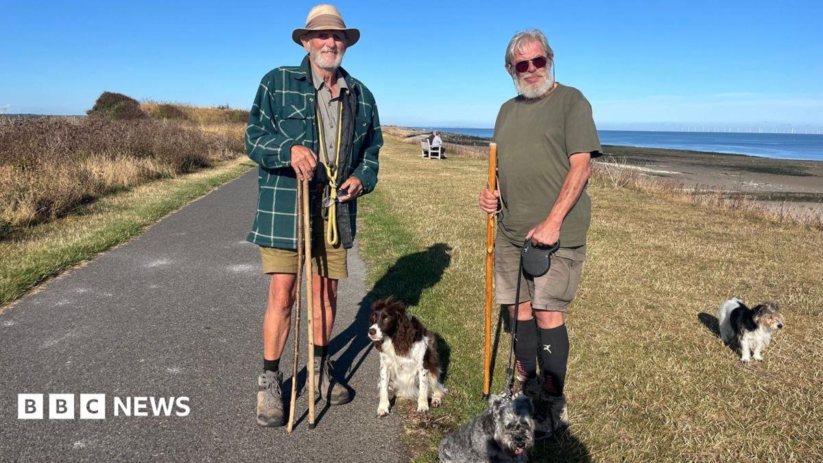 Public consultation begins on Kent coast dog control plans