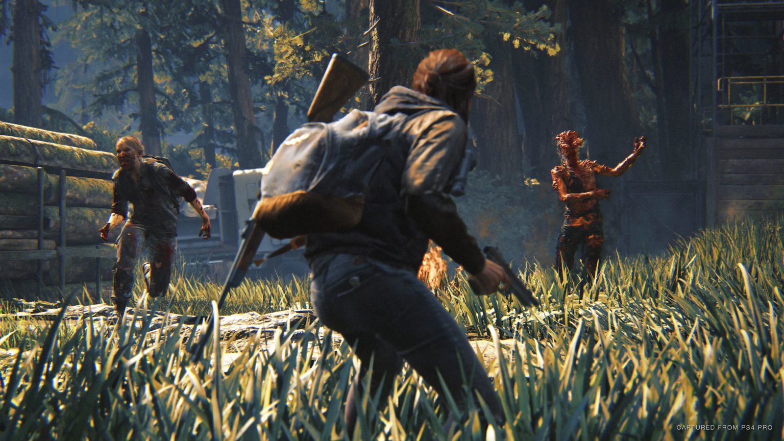 Abandoned Ambitions: Sony Pulls the Plug on The Last of Us Part II Multiplayer