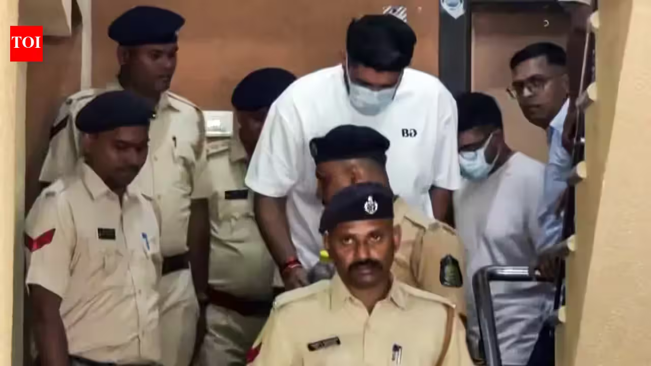 After Supreme Court Snub, Goa Nightclub Fire Accused Surrenders