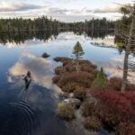 Ancestral Horizon: Penobscot Nation Reclaims Over 11,000 Acres in Historic Land Back Milestone
