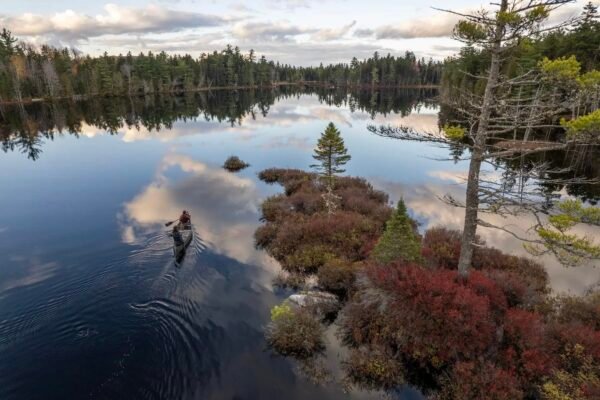 Ancestral Horizon: Penobscot Nation Reclaims Over 11,000 Acres in Historic Land Back Milestone
