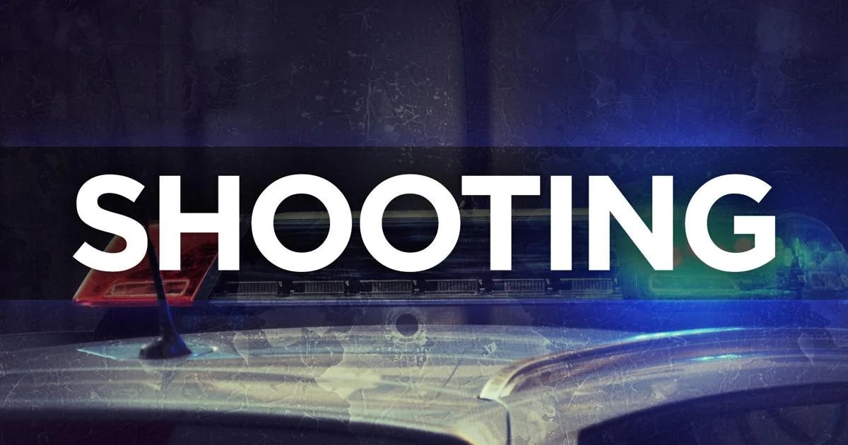 Armed Confrontation Ends in Bloodshed: Neighborhood Theft Attempt Turns Violent