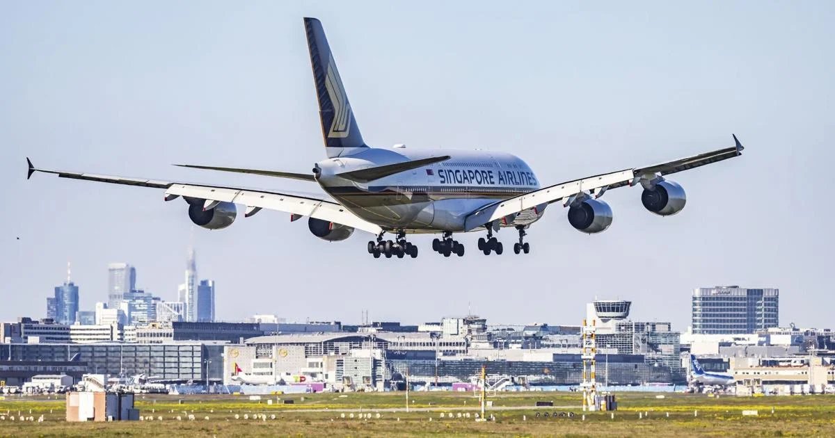 Ascending to the Top: The Crown for 2026’s Best Airline Is Officially Claimed