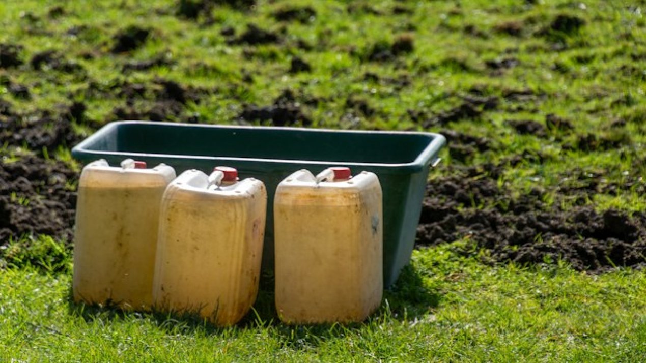 Baja California Cleans Up: SADER Neutralizes 70 Tons of Toxic Pesticide Waste