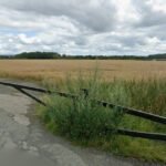 Battle for Culcheth: Peel Land Unveils Greenbelt Vision for 450 New Homes