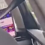 Behind the Wheel and Off the Road: Taxi Driver Caught Binge-Watching While Transporting Vulnerable Child