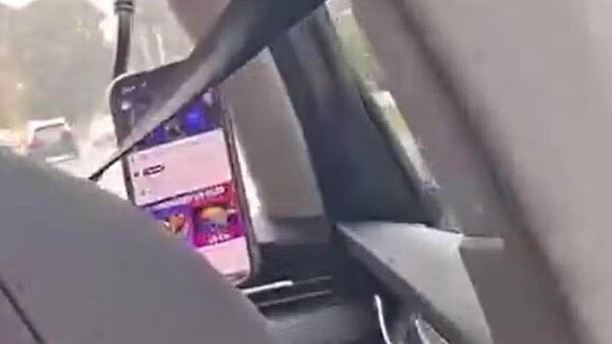 Behind the Wheel and Off the Road: Taxi Driver Caught Binge-Watching While Transporting Vulnerable Child
