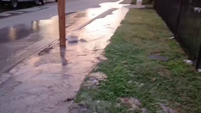 Beneath the Surface: Why One Northwest Side Street Has Become a Breakout Star for SAWS Repairs