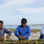 Beneath the Tides: India’s Underwater Green Revolution Saves Vulnerable Islands