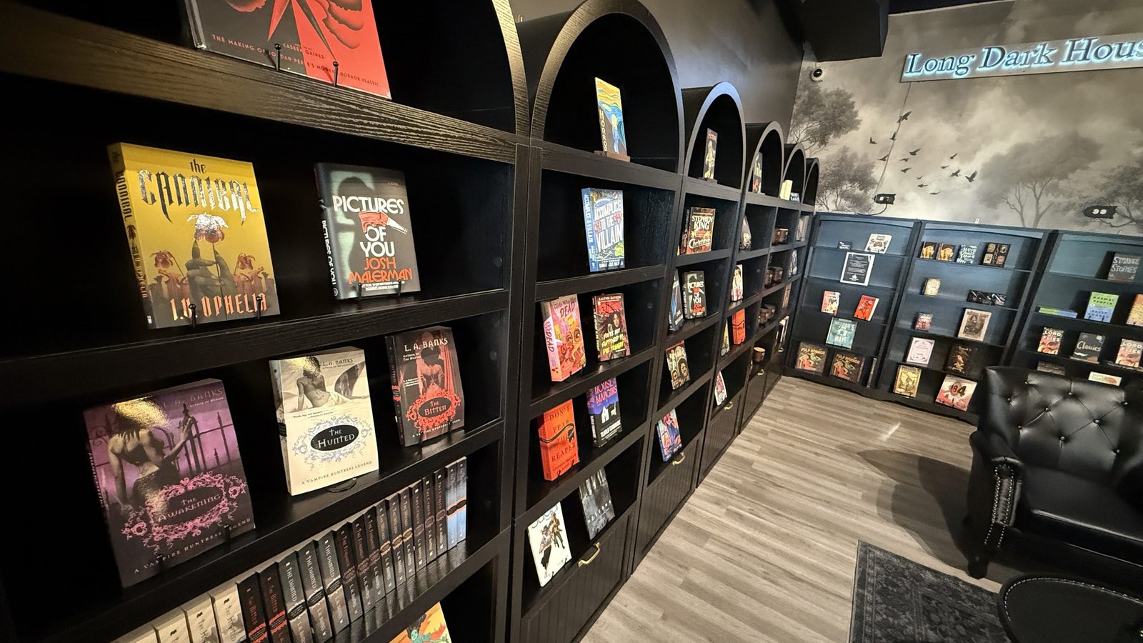 Beyond the Haunted Facade: The Alexandria Shop Where Imagination Meets the Macabre