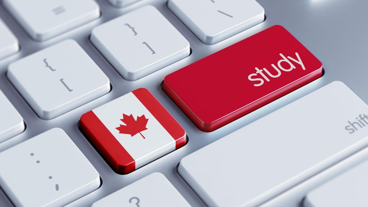 Beyond the Maple Leaf: The Essential Survival Guide for Canada’s International Students