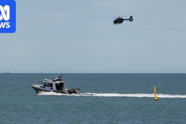Blood in the Surf: Sorrento Beach Shutters After Suspected Shark Attack