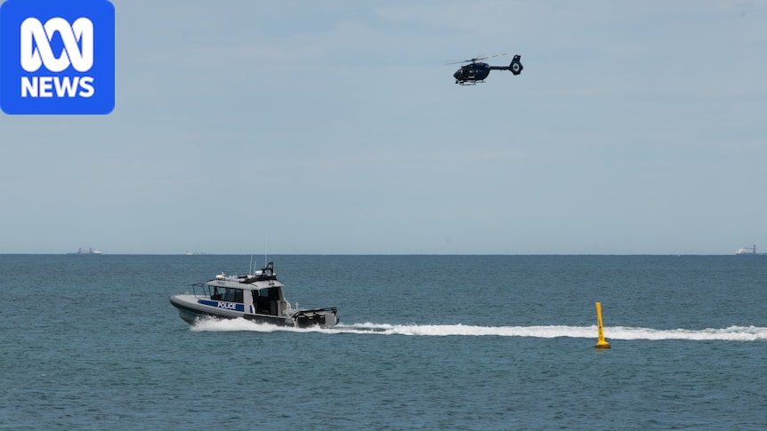 Blood in the Surf: Sorrento Beach Shutters After Suspected Shark Attack