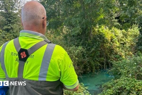 Blue Bayou: Exmouth Brook Turns Mysterious Neon as Health Chiefs Issue No-Swim Alert