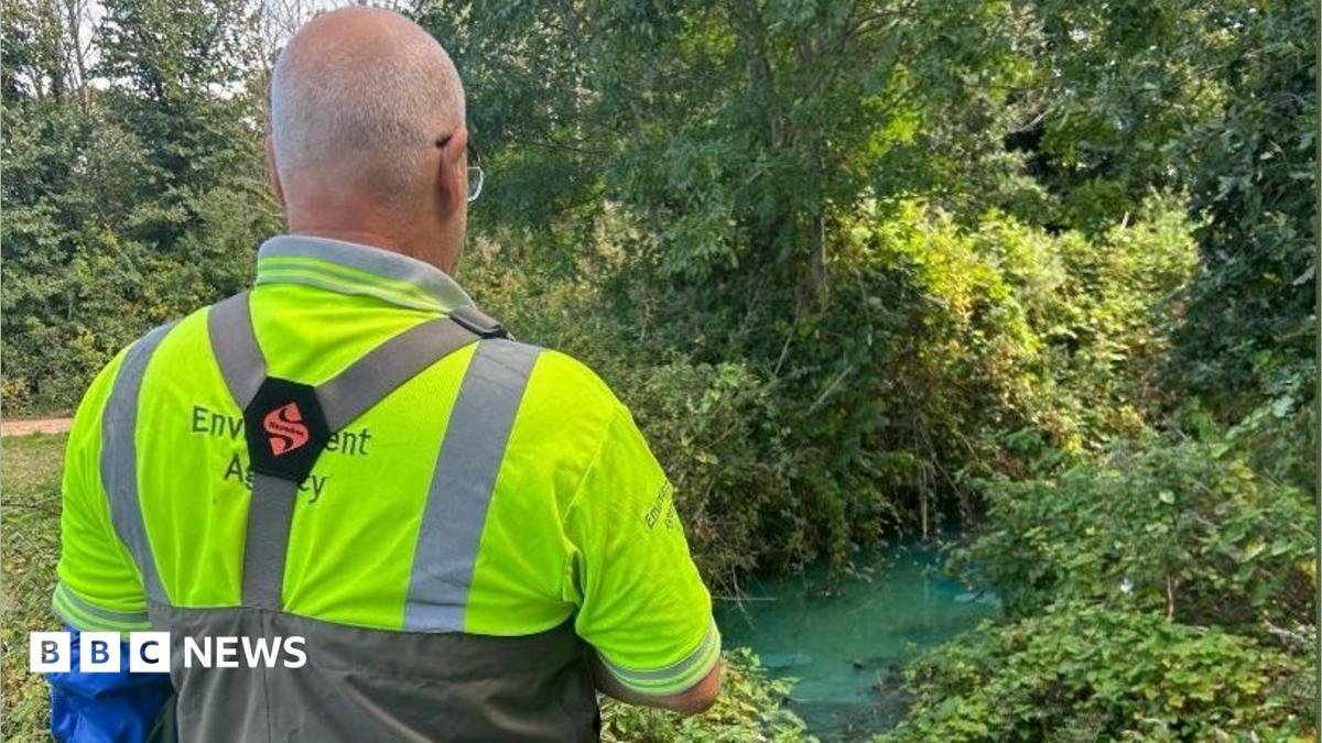 Blue Bayou: Exmouth Brook Turns Mysterious Neon as Health Chiefs Issue No-Swim Alert