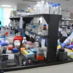Brain Drain Bleed: Scant Funding Leaves 2,500 Postdoc Posts in Peril