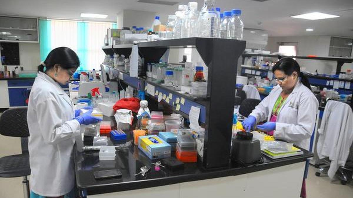 Brain Drain Bleed: Scant Funding Leaves 2,500 Postdoc Posts in Peril