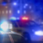 Brazen Burglars Pepper-Spray Family Dog During Lake Balboa Home Invasion