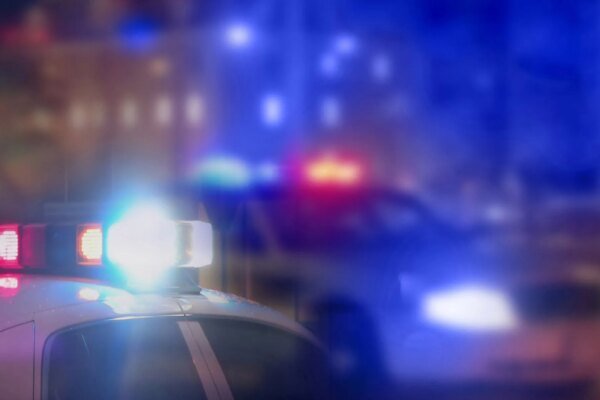 Brazen Burglars Pepper-Spray Family Dog During Lake Balboa Home Invasion