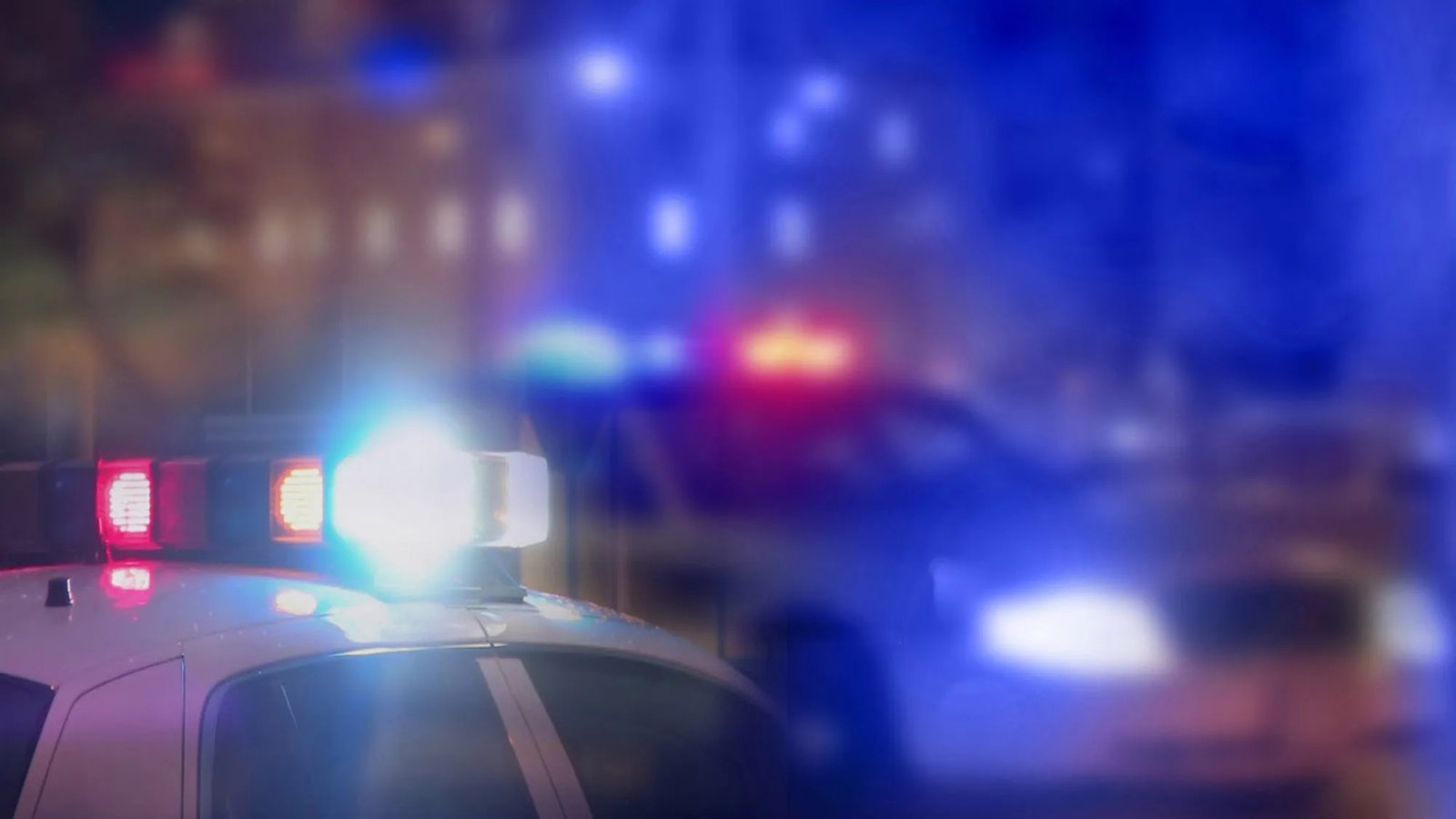 Brazen Burglars Pepper-Spray Family Dog During Lake Balboa Home Invasion