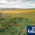 Britain’s Yellowstone: The Radical Rewilding Mission Challenging the Land-Ownership Status Quo