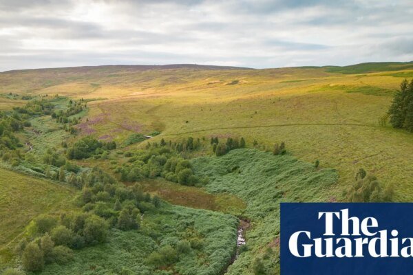 Britain’s Yellowstone: The Radical Rewilding Mission Challenging the Land-Ownership Status Quo