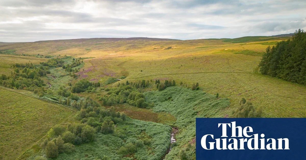 Britain’s Yellowstone: The Radical Rewilding Mission Challenging the Land-Ownership Status Quo